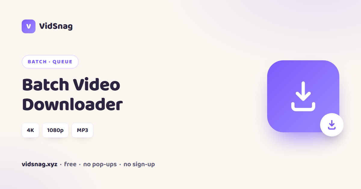 VidSnag, a free batch video downloader for Windows, queuing many links at once