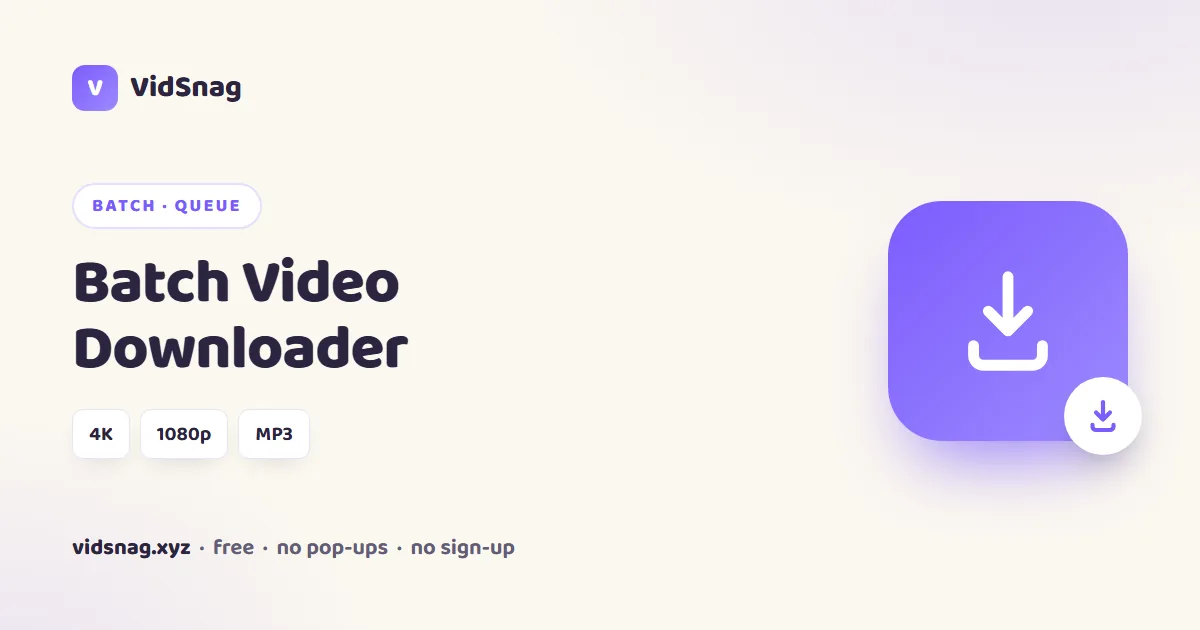 VidSnag, a free batch video downloader for Windows, queuing many links at once