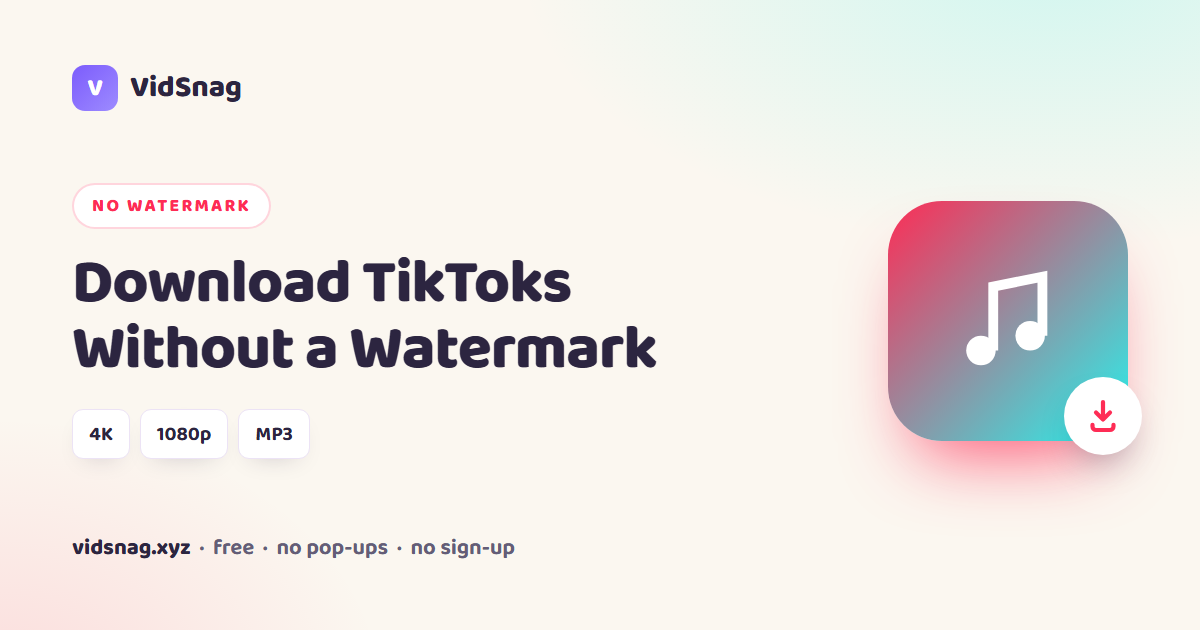 Download TikTok videos without a watermark using VidSnag