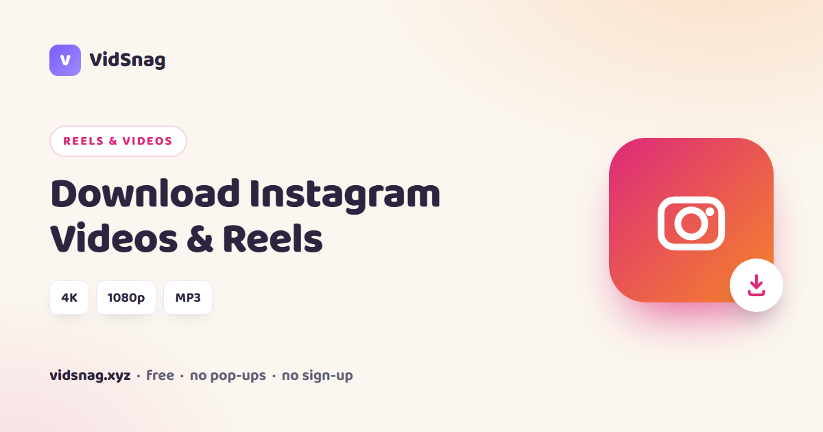 Download Instagram videos and Reels with VidSnag