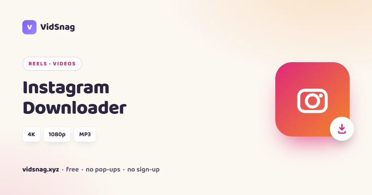 VidSnag, a free Instagram downloader for Windows