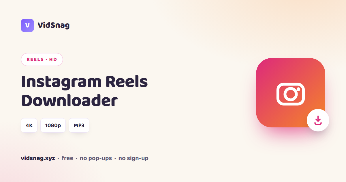 VidSnag, a free Instagram Reels downloader for Windows