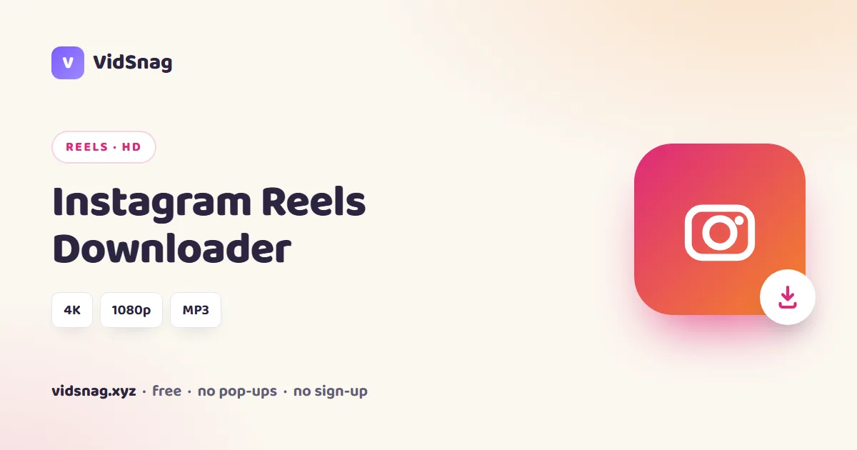 VidSnag, a free Instagram Reels downloader for Windows