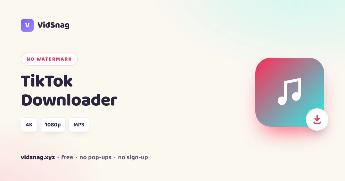 VidSnag, a free TikTok downloader with no watermark for Windows