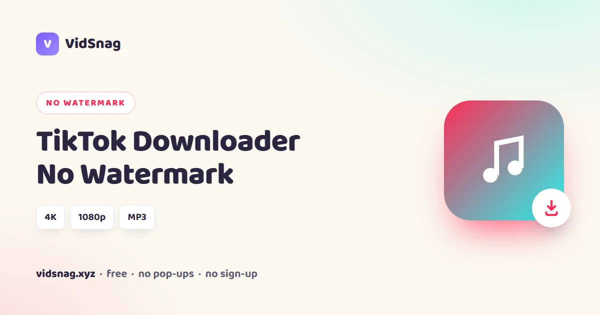 VidSnag, a free TikTok downloader without watermark for Windows