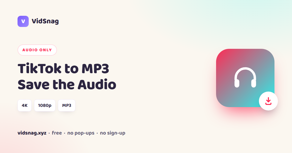VidSnag, a free TikTok to MP3 converter for Windows
