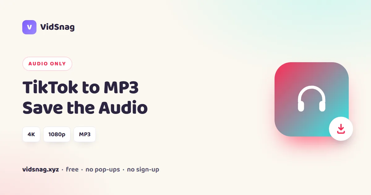 VidSnag, a free TikTok to MP3 converter for Windows