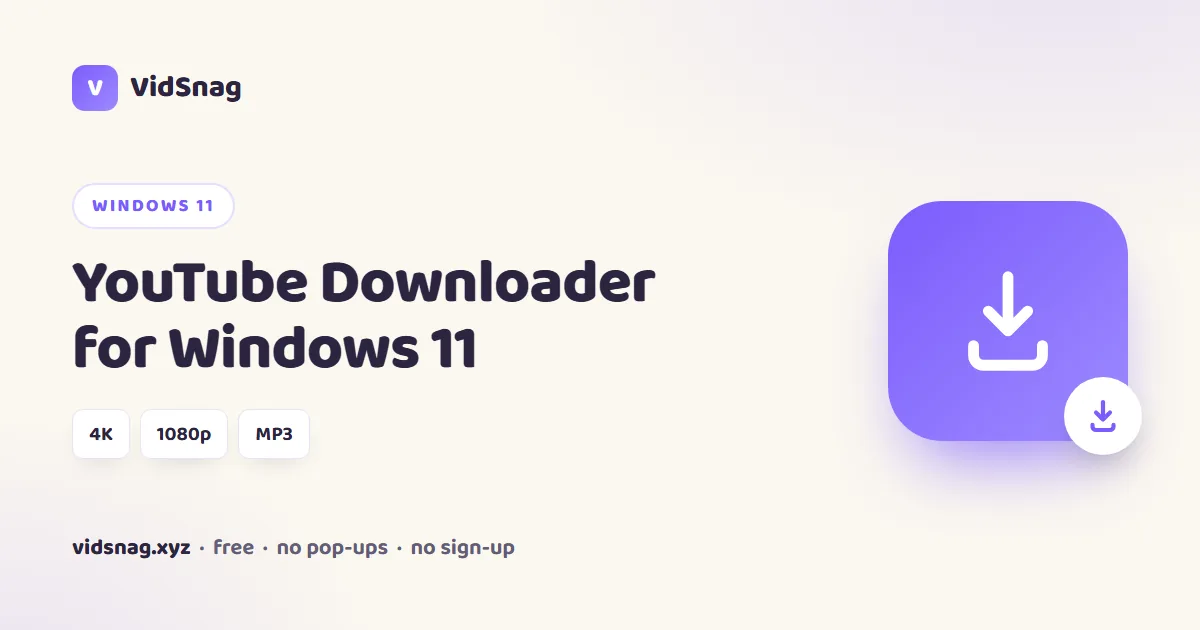 VidSnag, a free native YouTube downloader running on Windows 11
