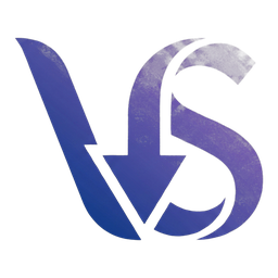 VidSnag logo